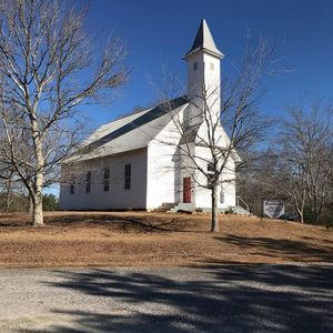 Meet your Posher, Nora